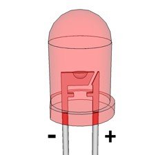 LED Polarity